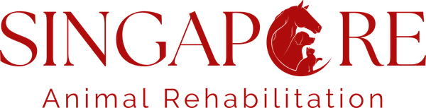 Singapore Animal Rehabilitation